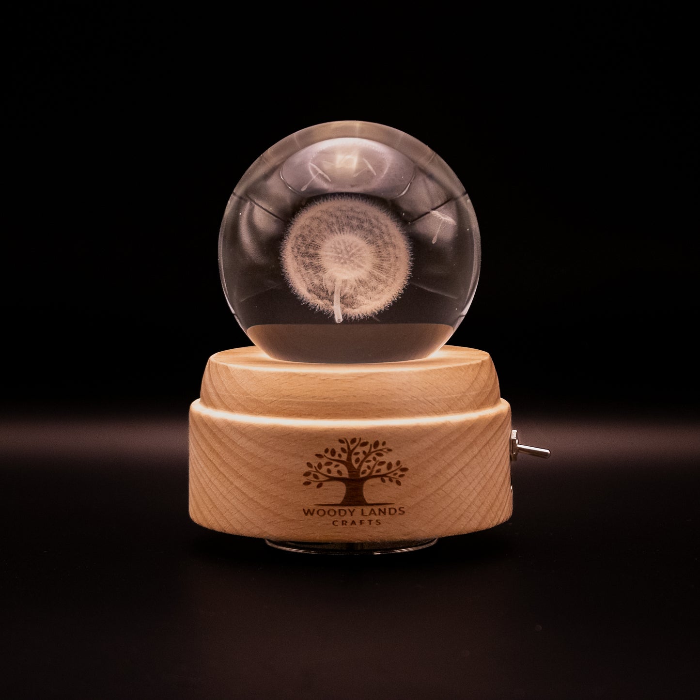 3D Crystal Baby Night Light Snowglobe Music Box - White Dandelion