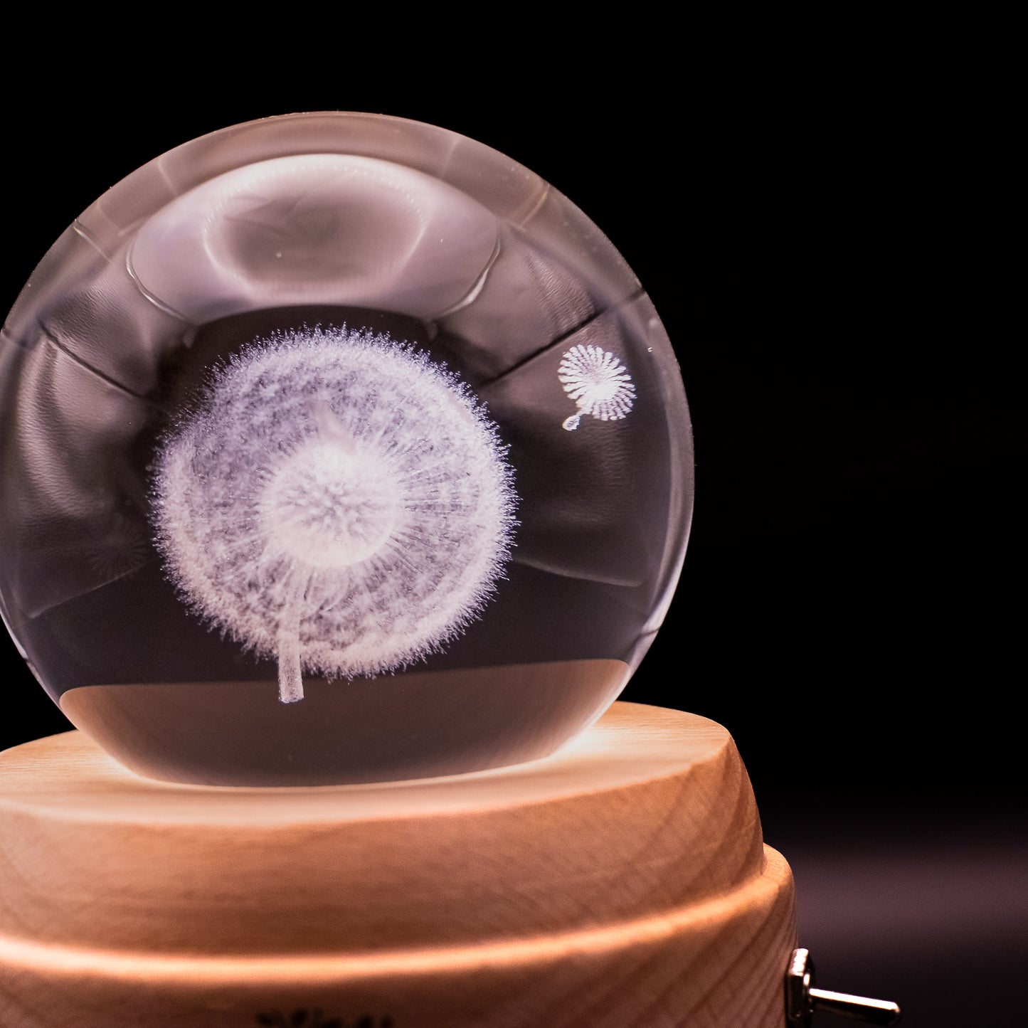 3D Crystal Baby Night Light Snowglobe Music Box - White Dandelion