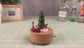 Woodylands Spieluhr - Weihnachtsbaum